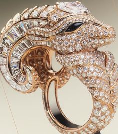 Boucheron Jewelry, Gents Ring, High Jewelry Ring, Jewellery Brand, Bracelet Display, Jewelry Appraisal, Diamond Jewelry Designs, Couture Jewelry