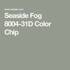 seaside fog 8004 - 3d color chip