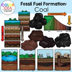 the fossil formation worksheet for kids to learn how it is formed and what they are