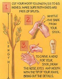 instructions on how to grow a tree