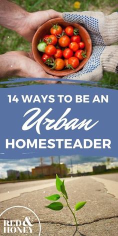 Here are fourteen ways you can go green while living in the city. Fourteen ways to embrace the urban homesteading mentality of eco-friendliness, self-sufficiency, reduce toxic products, carbons and toxins in the air, start an urban garden and reduce stress by embracing slow living. #urbanhomesteader #urbangarden Toxic Products, Homestead Gardens, Natural Fertilizer, Urban Homesteading, Zero Waste Living, Slow Living, Natural Living, Frugal Living