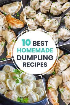 the top 10 best homemade dumpling recipes