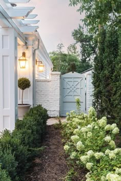 a white house with blue shutters and green plants in the front yard, surrounded by shrubbery