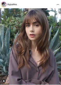 Lily Collins Haircut, Lily Jane Collins, ليلي كولينز, Lily Collins Hair, Phil Collins, Long Hair With Bangs, Good Hair Day, Haircuts With Bangs, Lily Collins