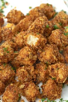 some fried food on a white plate with parsley sprinkled around the edges