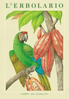 a green parrot sitting on top of a tree branch next to a flower and fruit