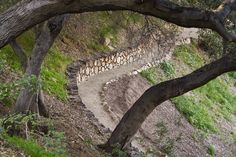 a path made out of logs on the side of a hill next to a tree