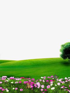 a field with flowers and a tree in the middle