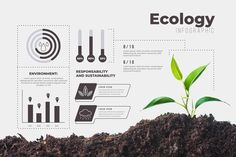 an info graphic showing the different stages of plant growth and how to use it in this project