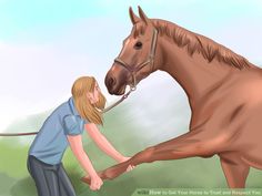 a woman is petting a horse with her hand