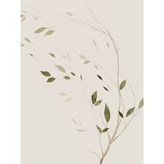 Winds Whisper II Poster Print - Grace Popp-VARPDX164210Z Image 1 Stock Paper, By Grace, Fine Arts Posters, Painting Canvas, Metallic Paint, Featured Artist, Wall Hooks, Paper Stock, Red Barrel Studio