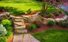 a garden with rocks, grass and flowers