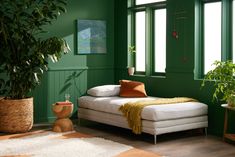 a bedroom with green walls and white bedding