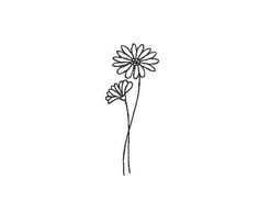 two daisies are shown in black and white on a white background, one is drawn by hand