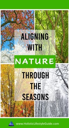 Mother Nature is our true mother, so to be truly healthy, we must connect to nature again. Learn how to connect to nature and align yourself with the natural daily rhythms of the day and of the year, through the changing seasons. Connecting to the Earth couldn't be more important than it is right now. Find out some fun ways you can establish that connection to nature. #HowToConnectToNature #WaysToConnectToNature #ConnectToNatureIdeas #NatureQuotes #ConnectWithNature #ChangingSeasons #FourSeasons How To Connect With Nature, Morning Rhythm, Connecting To Nature, Forest Therapy, Connect To Nature, Living With Nature, Natural Cycles, Nature Therapy, Geometry In Nature