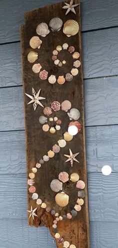 a piece of wood with seashells and starfish hanging on it's side