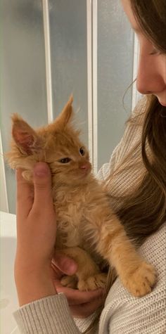 a woman holding a small kitten in her hands