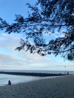 a person sitting on the beach under a tree looking out at the ocean and pier