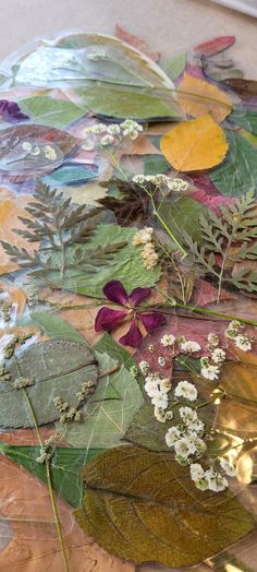 some leaves and flowers on a table