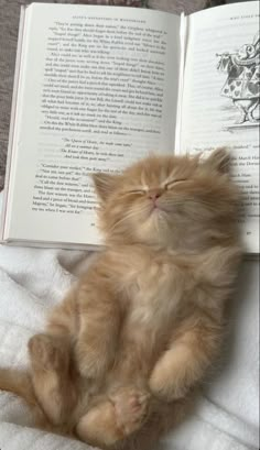 an orange kitten laying on top of a bed next to an open book with its eyes closed