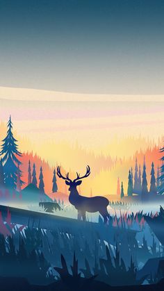 a deer standing in the middle of a forest with trees and grass at sunset or dawn