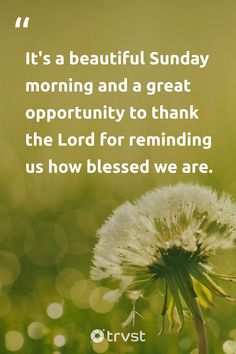 "It's a beautiful Sunday morning and a great opportunity to thank the Lord for reminding us how blessed we are."

A wonderful reminder to cherish each day and be thankful for the blessings we often overlook. Spend this Sunday enveloped in the beauty of nature, appreciating its vibrant hues and serene silence.

#trvst #quotes #bethechange #thinkgreen #weekend #opportunity #SundayQuotes #gratitude #blessings #nature 

📷 @aaronburden