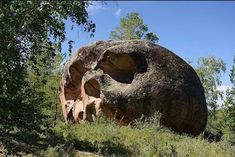 a large rock in the middle of some trees