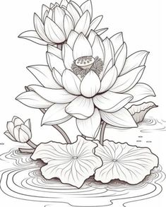 a drawing of a lotus flower in the water with lily pads on it's side