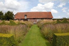 the house is surrounded by hedges and tall grass, with a path leading to it