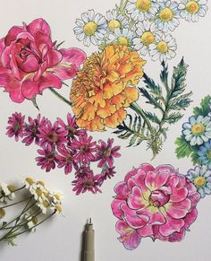 an image of flowers drawn with colored pencils on white paper and surrounded by markers