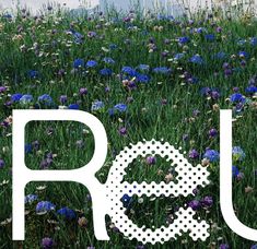 the word rou is surrounded by purple and blue wildflowers in a field