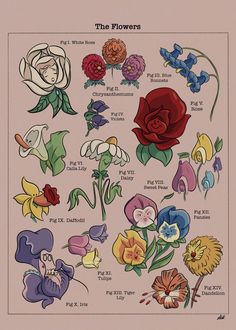 an image of flowers with the names and colors