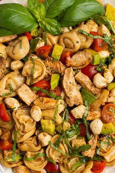 a white plate topped with pasta salad and meats on top of it next to green leaves