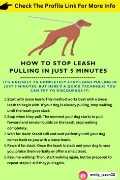 a poster with the words how to stop leash pulling in just 5 minutes