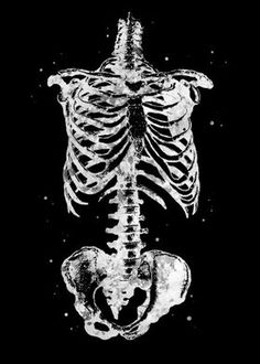 a skeleton and a heart on a black background