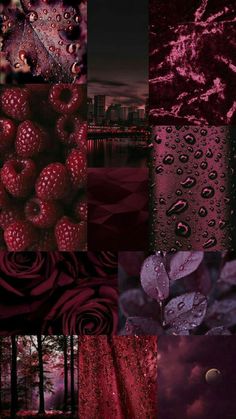 a collage of images with different colors and textures, including raspberries in the foreground