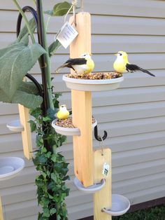 three birds are perched on the bird feeders