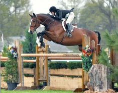 a person jumping a horse over an obstacle