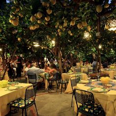 an outdoor restaurant with tables and chairs covered in yellow tablecloths, surrounded by trees