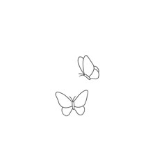 two butterflies flying side by side on a white background