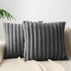 four gray pillows sitting on top of a couch next to a potted palm tree