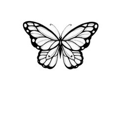 a black and white drawing of a butterfly