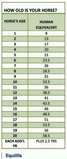 horse age chart for horses with the highest numbers and average hours in each country,