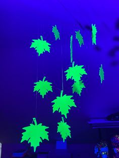 a group of green leaves hanging from strings in the dark blue night sky with purple lighting