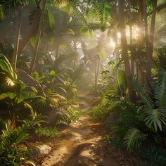 the sun shines through the trees and leaves on a dirt path surrounded by palm trees