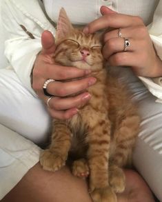 a woman is holding a small kitten in her lap while wearing rings and bracelets