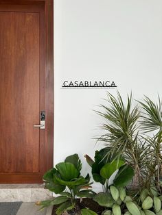 there is a potted plant next to a door and the name casabianca on it