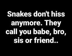 a black and white photo with the words snakes don't kiss anymore they call you babe, bro, sis or friend