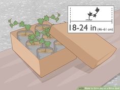 a box filled with plants sitting on top of a wooden table