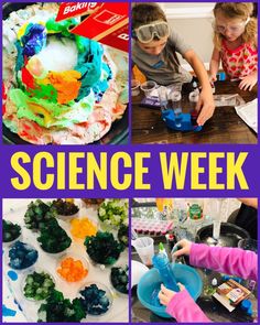 science week collage with images of different activities